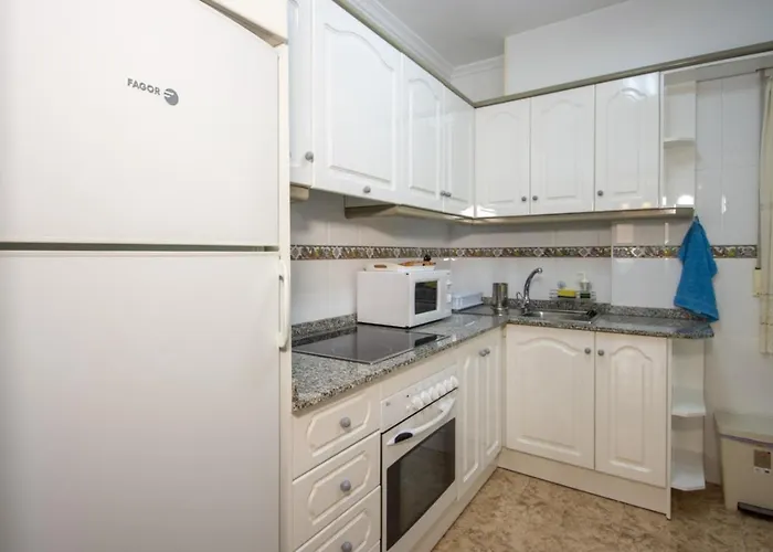 Alegria Id166 公寓 托雷维耶哈