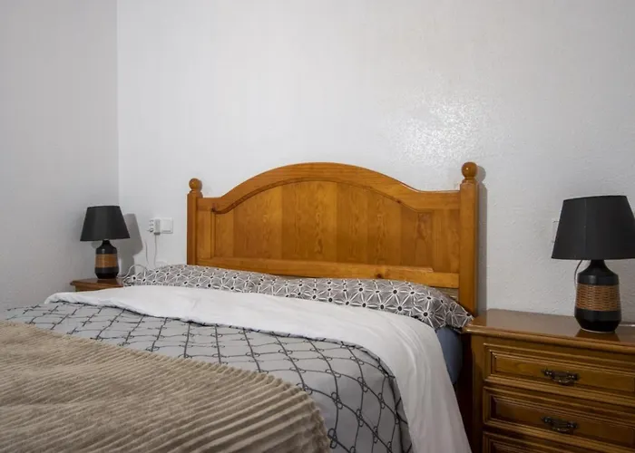 Alegria Id166 托雷维耶哈